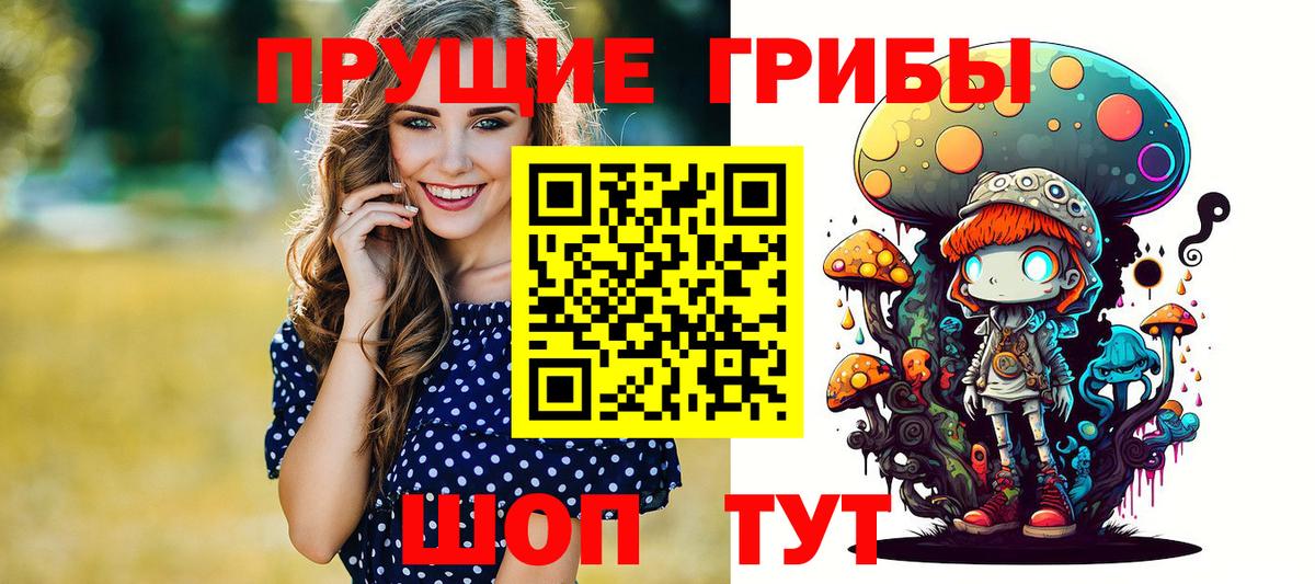 Галлюциногенные грибы Psilocybine cubensis  Вход с VPN  Малоярославец 