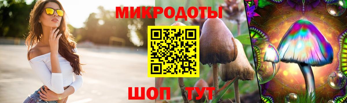 Псилоцибиновые грибы GOLDEN TEACHER Малоярославец